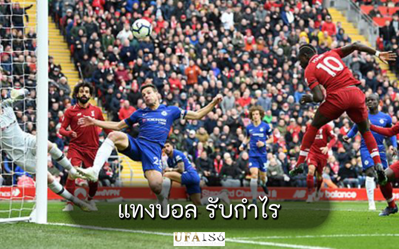 แทงบอล รับกำไร